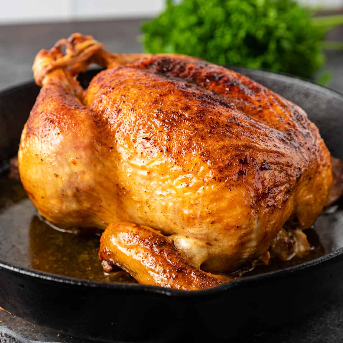 Pollo Asado